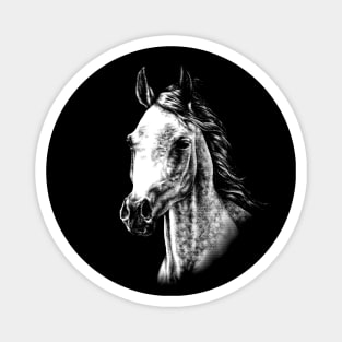 Arabian Horse Animal Portrait Magnet